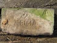 PRIMA